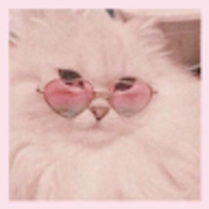 Meet your Posher, Queen